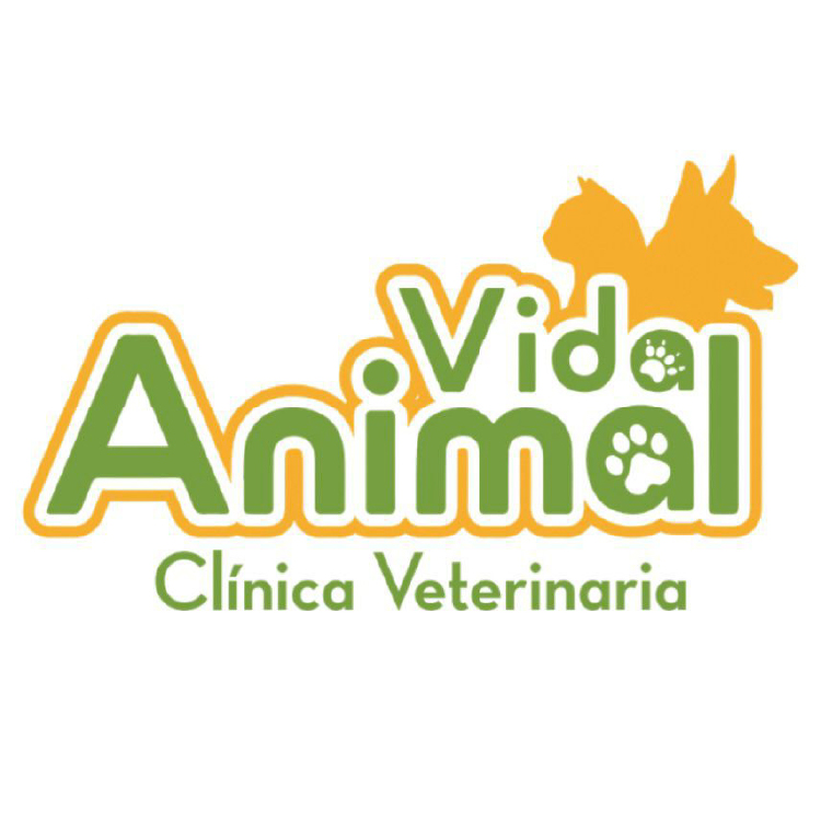 Vida Animal